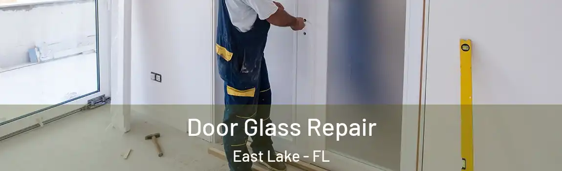  Door Glass Repair East Lake - FL