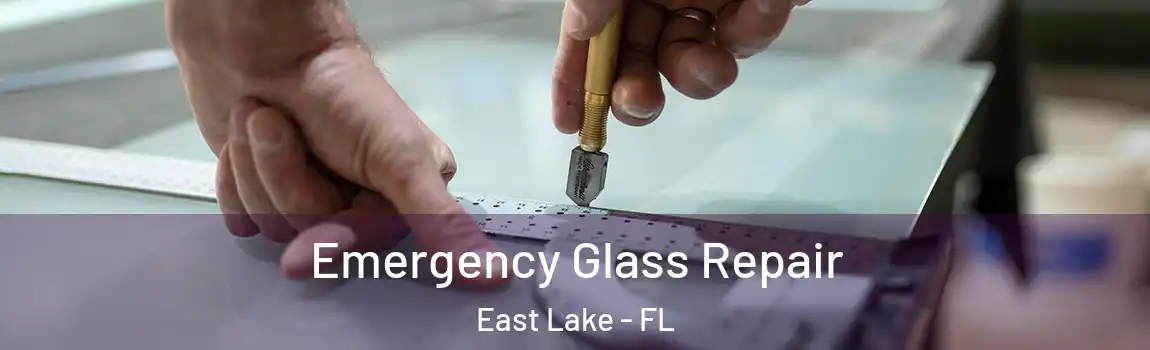 Emergency Glass Repair East Lake - FL