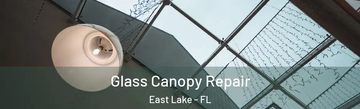  Glass Canopy Repair East Lake - FL