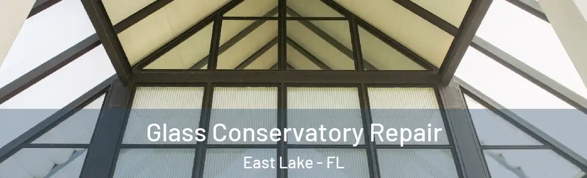  Glass Conservatory Repair East Lake - FL