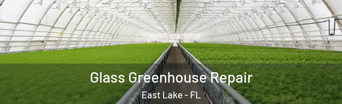  Glass Greenhouse Repair East Lake - FL
