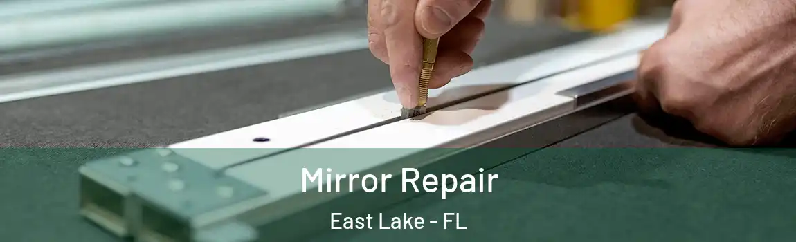 Mirror Repair East Lake - FL