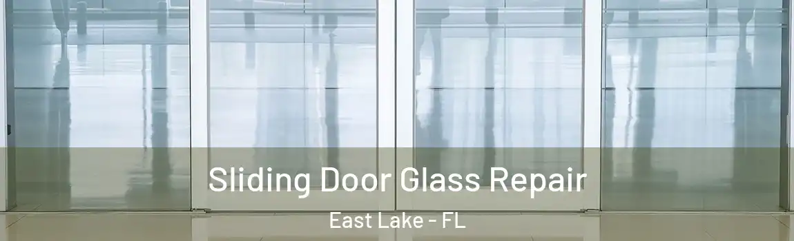 Sliding Door Glass Repair East Lake - FL