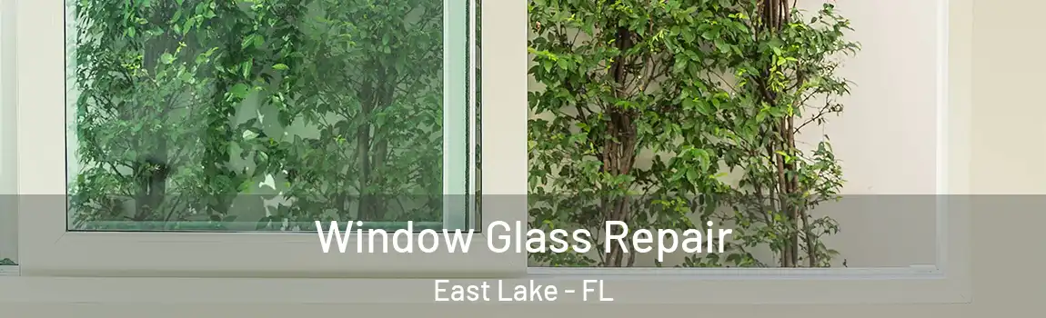  Window Glass Repair East Lake - FL