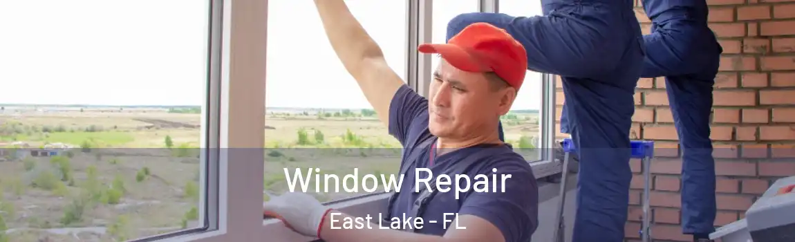  Window Repair East Lake - FL